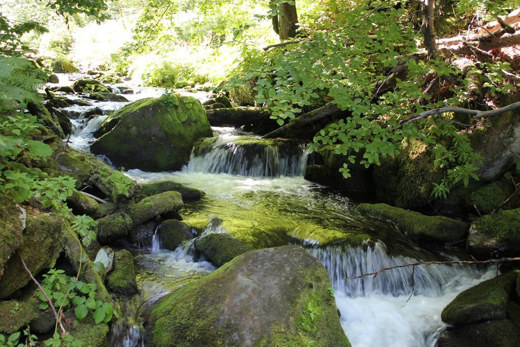 Svit Sontsya Tur'ya Polyana Bagian luar foto