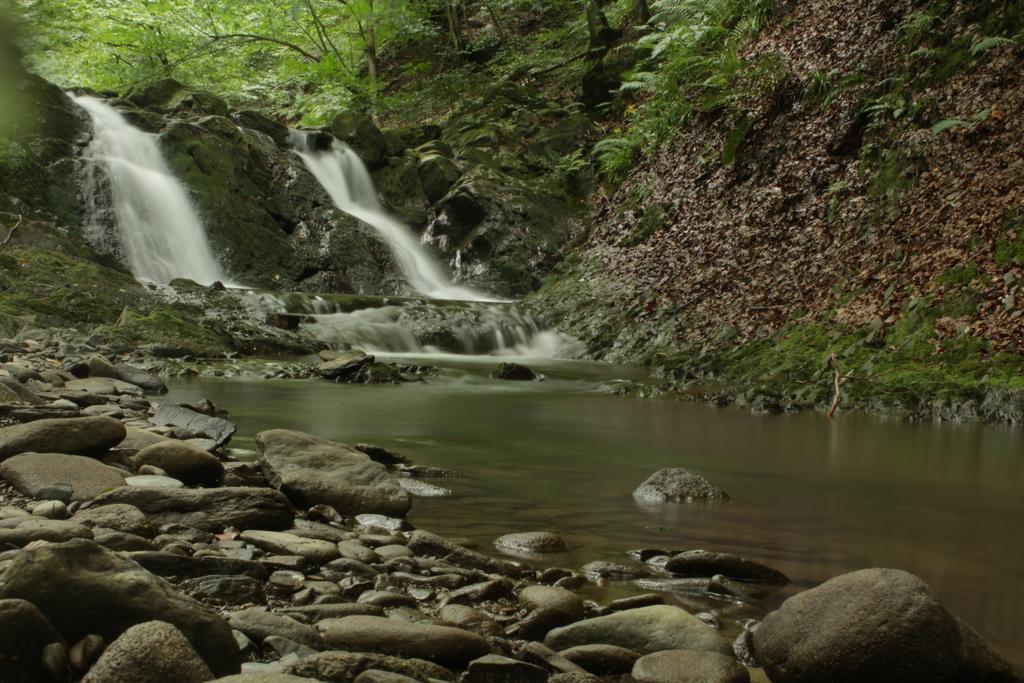 Svit Sontsya Tur'ya Polyana Bagian luar foto