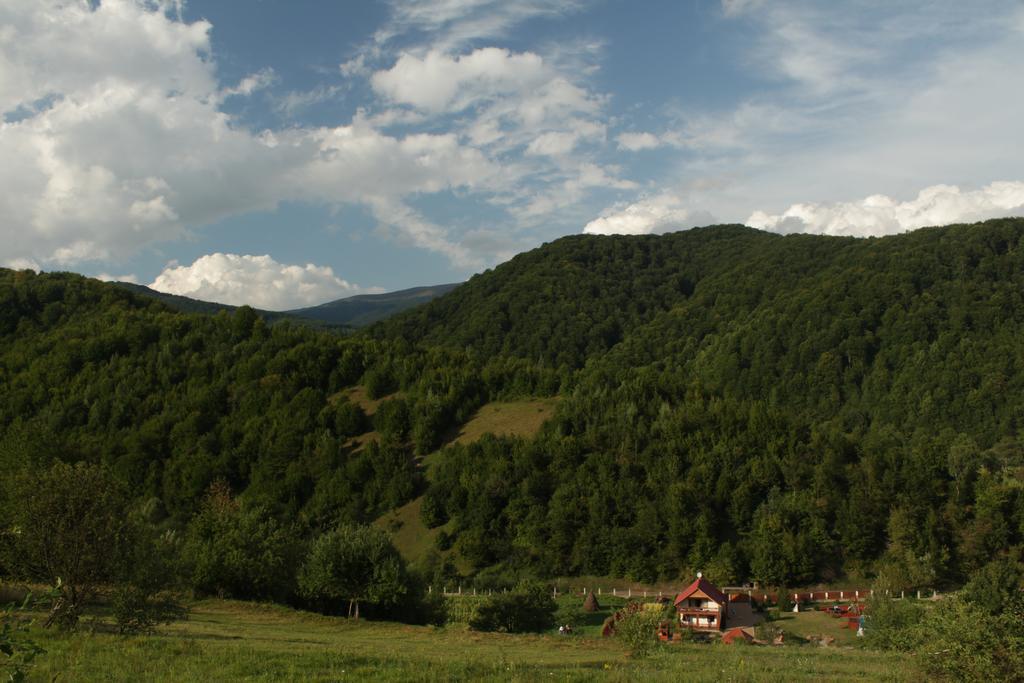 Svit Sontsya Tur'ya Polyana Bagian luar foto